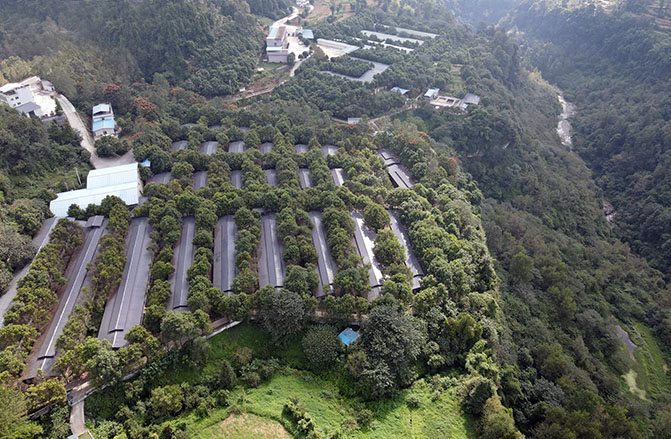 核心場